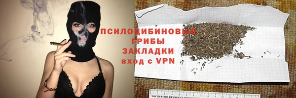 jwh Саяногорск