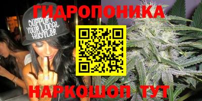 дживик Кинель
