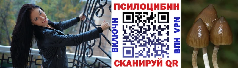 Галлюциногенные грибы прущие грибы  сколько стоит  Бузулук 