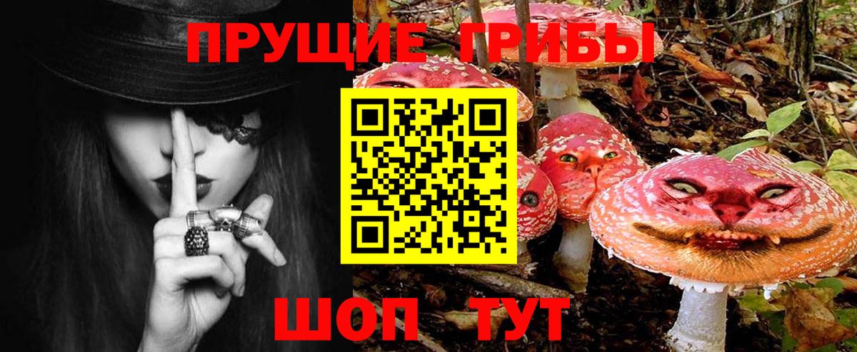 Галлюциногенные грибы мухоморы  Галлюциногенные грибы Psilocybine cubensis  Бузулук 