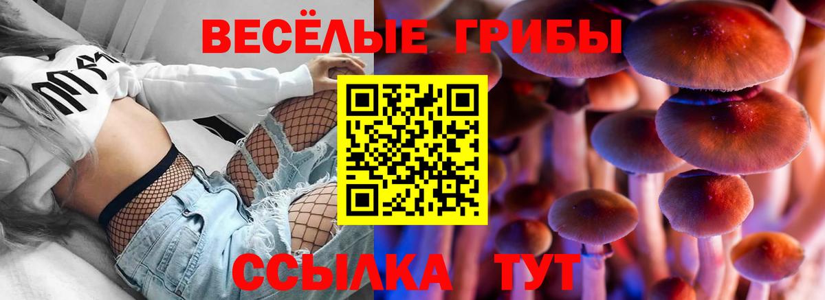 даркнет сайт  Вход с VPN  Галлюциногенные грибы мухоморы  Бузулук  Галлюциногенные грибы ЛСД 